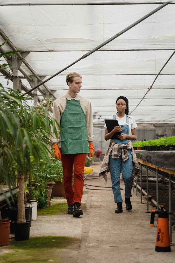 Two gardeners discuss while walking in a greenhouse, surrounded by lush plants.