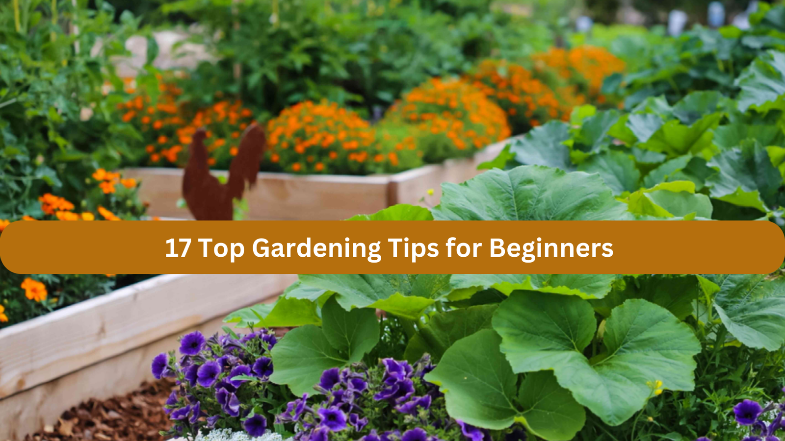 Top 17 easy gardening tips for beginners.