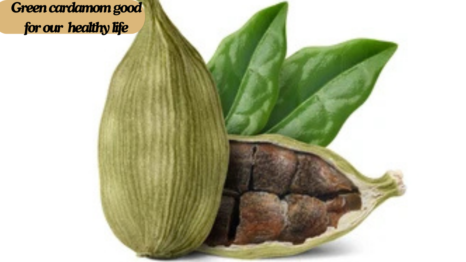 Green Cardamom Pods: A Spice with Remarkable Health Benefits