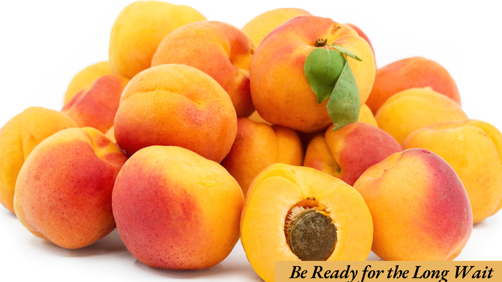 How to plant apricot seeds