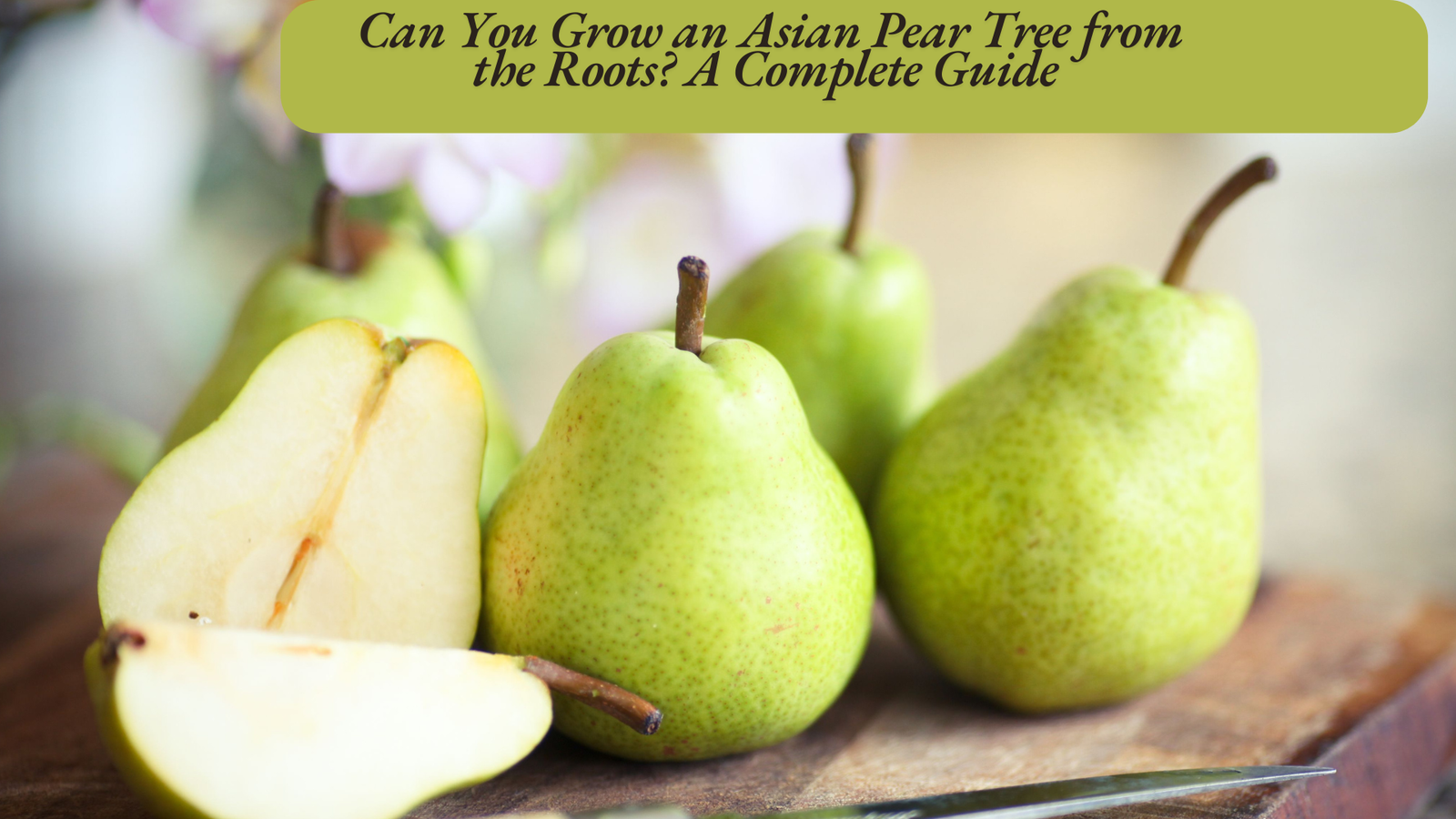 Can You Grow an Asian Pear Tree from the Roots? A Complete Guide