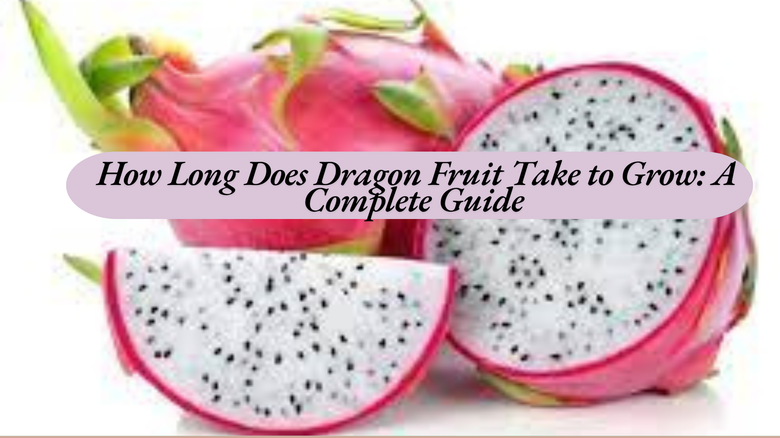 How Long Does Dragon Fruit Take to Grow: A Complete Guide