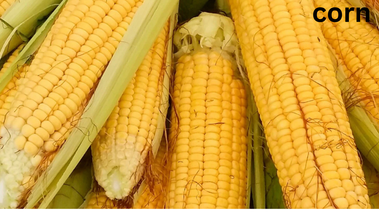best summer vegetables to grow 