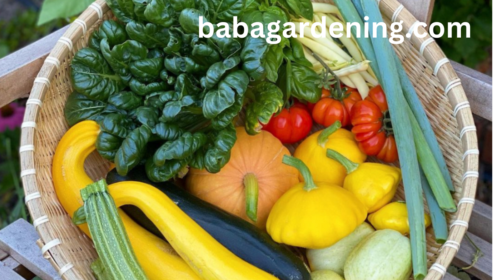Top 10 Summer Vegetables to Grow for a Bountiful Harvest