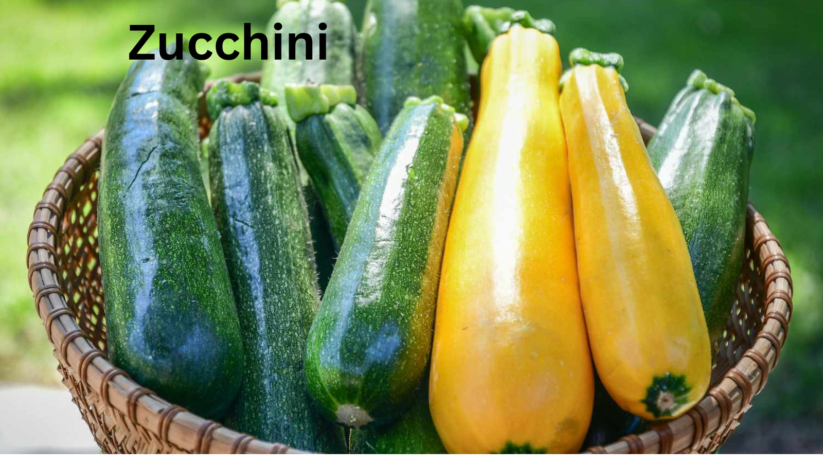 summer vegetables to grow 