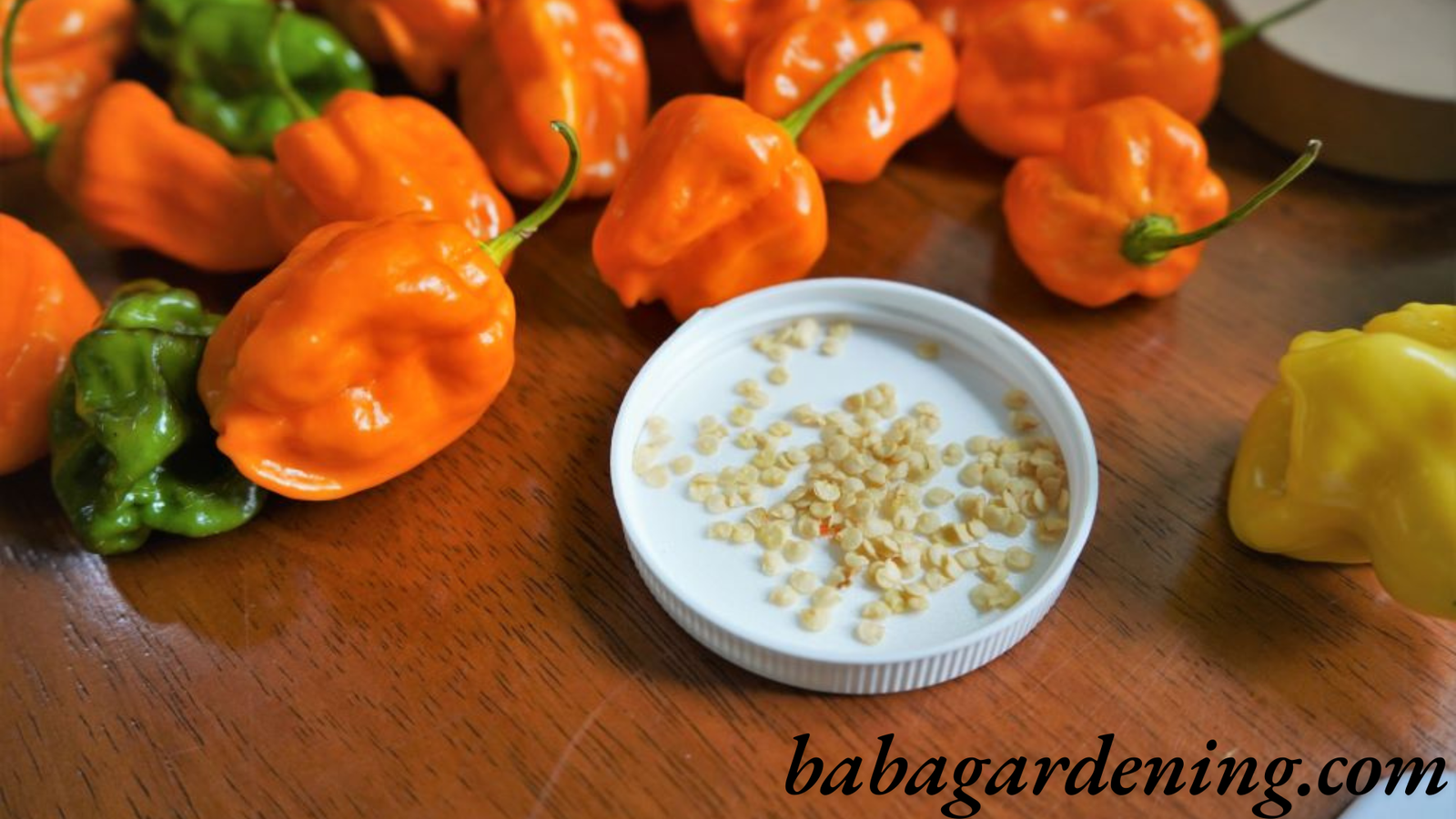 How to Save Pepper Seeds
