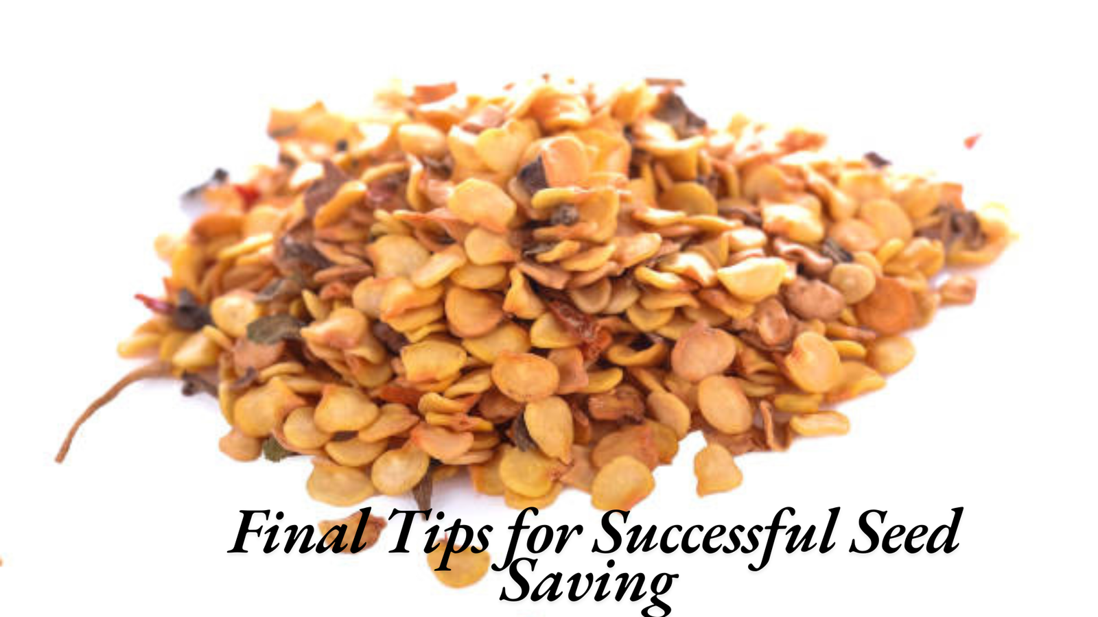 How to Save Pepper Seeds