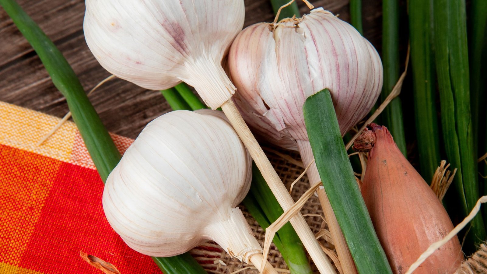 When to Plant Garlic in Georgia: Best Times for a Bountiful Harvest