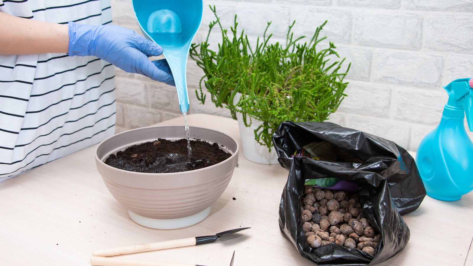  Natural Fertilizer for Plants: 7 Best Natural Recipes 