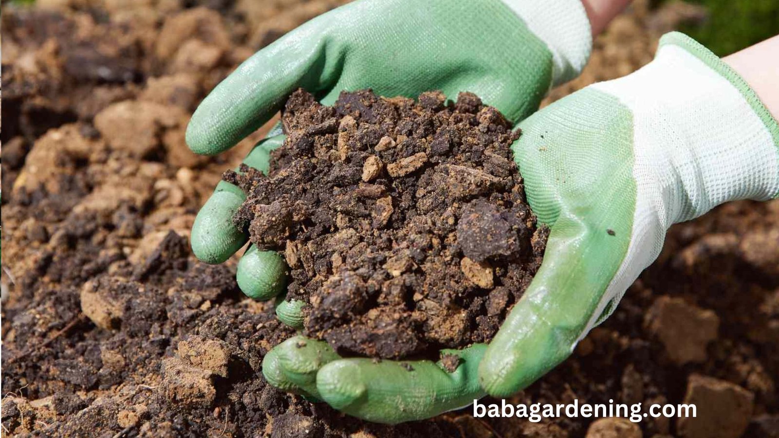 plants that grow well in clay soil,