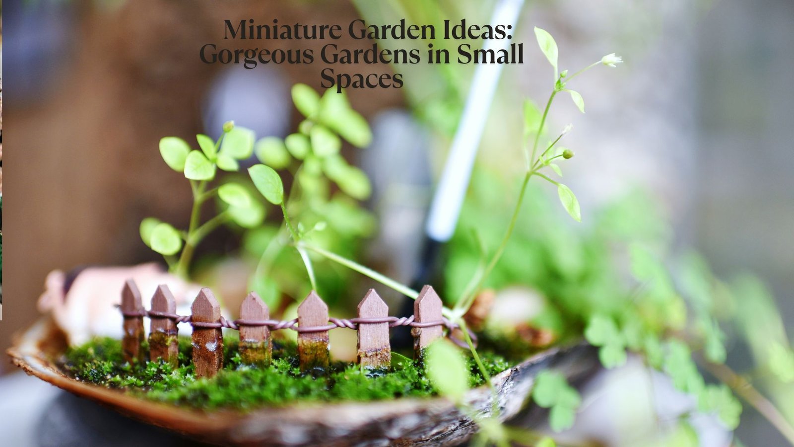 Miniature Garden Ideas: Gorgeous Gardens in Small Spaces