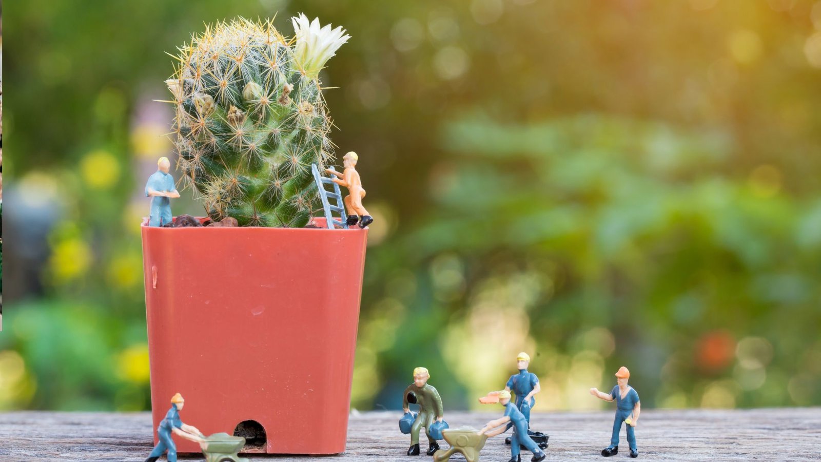  miniature garden ideas