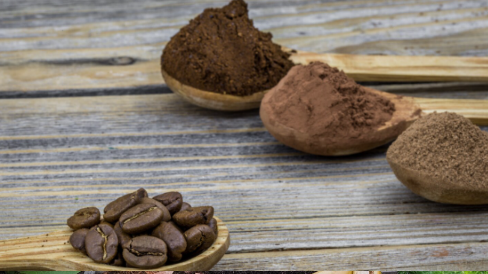  Natural Fertilizer for Plants: 7 Best Natural Recipes 
