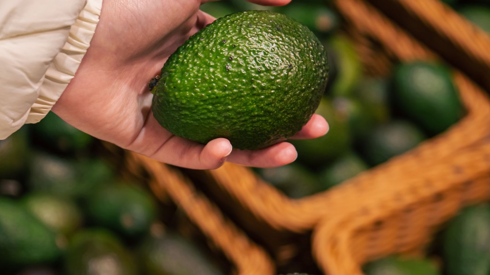Growing Avocados in Containers: Best Soil, Light, and Water Tips