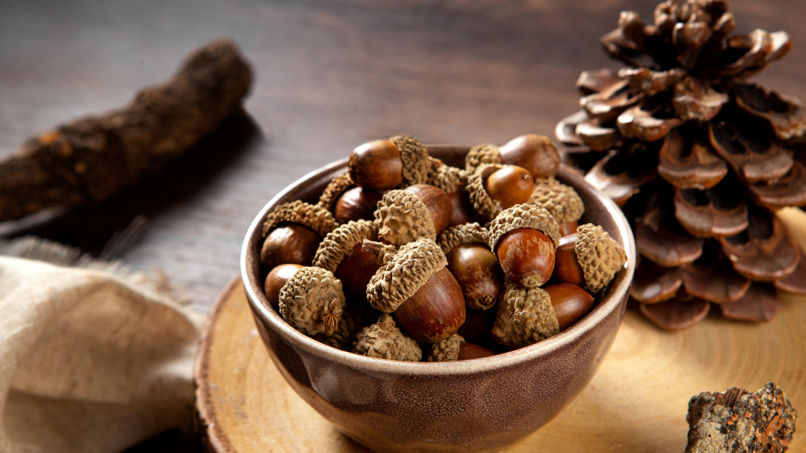 how-to-shell-pine-nuts-easily